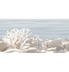 Декоративная плитка Alma Ceramica DWU09DLM624 Del mare 50x24.9 голубая / бежевая глазурованная глянцевая морские мотивы