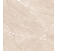 Керамогранит Alma Ceramica GFU04PLP04R Pulpis 60x60 бежевый матовый под камень