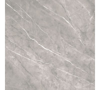 Керамогранит Alma Ceramica GFU04PLP70R Pulpis 60x60 серый матовый под камень