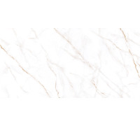 Керамогранит Alma Ceramica GFU60120NCL04R Neo Calacatta 60x120 белый глазурованный матовый под камень