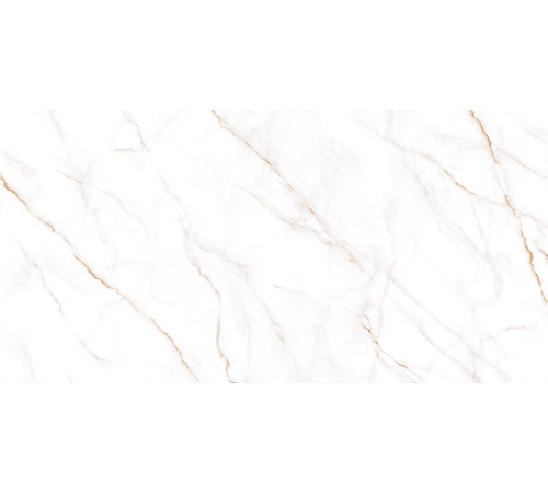 Керамогранит Alma Ceramica GFU60120NCL04R Neo Calacatta 60x120 белый глазурованный матовый под камень