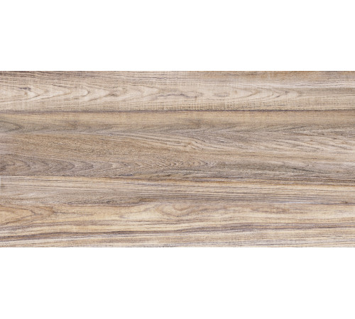 Плитка настенная Dublin TWU09DBL404 249x500x7.5 Глянцевая