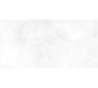 Настенная плитка Alma Ceramica TWU09RCD000 Richard 50x24.9 белая глянцевая под бетон