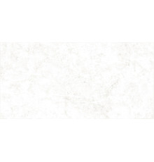 Настенная плитка Alma Ceramica TWU09TVS014 Trevis 50x24.9 белая матовая под камень