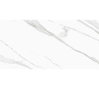 Керамогранит Delacora D120239M Life Calacatta 60x120 белый матовый / противоскользящий под мрамор