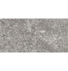 Керамогранит Граните Лунар серый 60х120 MR