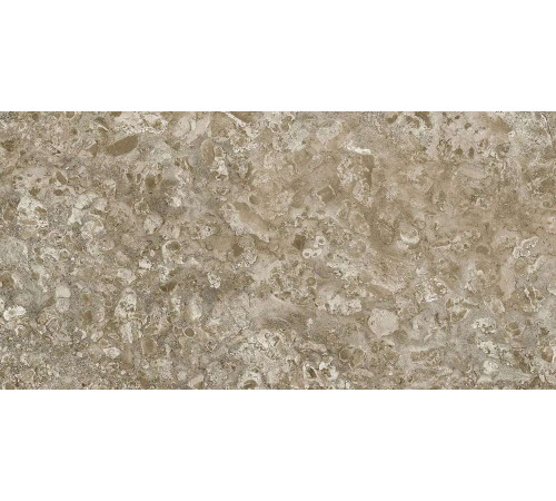 Керамогранит Граните Лунар коричневый 60х120 MR
