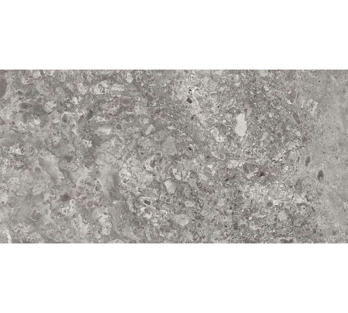 Керамогранит Граните Лунар серый 60х120 MR