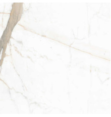 Керамогранит Граните Паллисандро Оро 60х60 SR