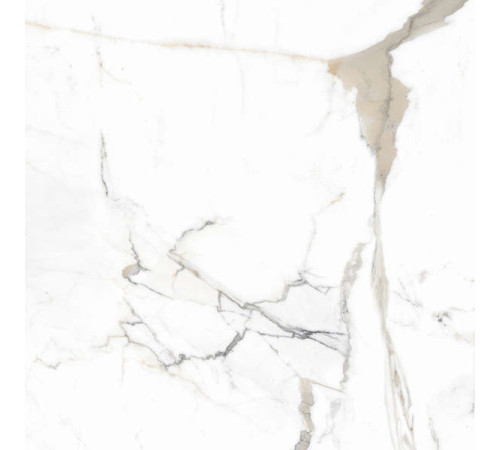 Керамогранит Граните Паллисандро Оро 60х60 SR