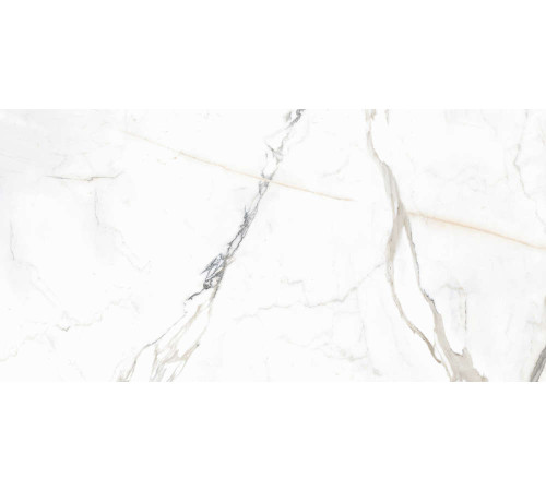 Керамогранит Граните Паллисандро Оро 60х120 SR