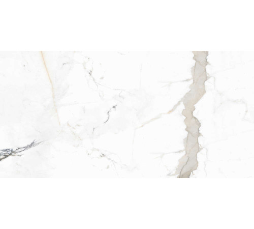 Керамогранит Граните Паллисандро Оро 60х120 SR