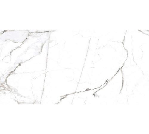 Керамогранит Граните Паллисандро Неро 60х120 LLR