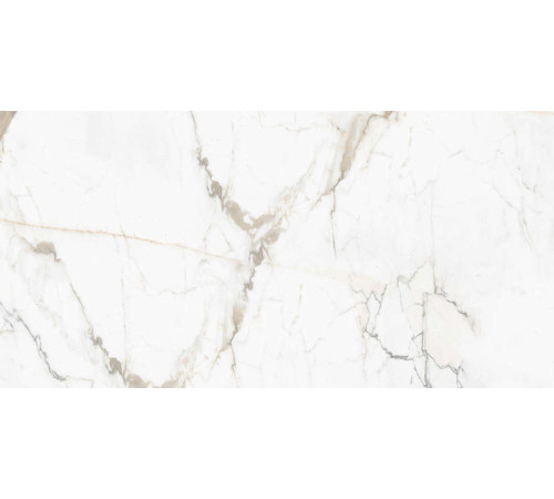 Керамогранит Граните Паллисандро Оро 60х120 LLR