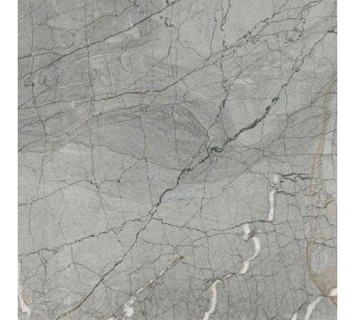 Керамогранит Граните Сансет Ардженто 60х60 LLR