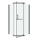 Душевое ограждение Grossman Pragma 302.K33.03.1010.21.00 (100х100х195) трапеция,распашная,черный матовый,стекло прозрачное