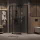 Душевое ограждение Grossman Pragma 302.K33.03.9090.21.10 (90х90х195) трапеция,распашная,черный матовый,стекло тонированное
