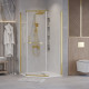 Душевое ограждение Grossman Pragma 302.K33.03.9090.32.00 (90х90х195) трапеция,распашная,золото сатин,стекло прозрачное