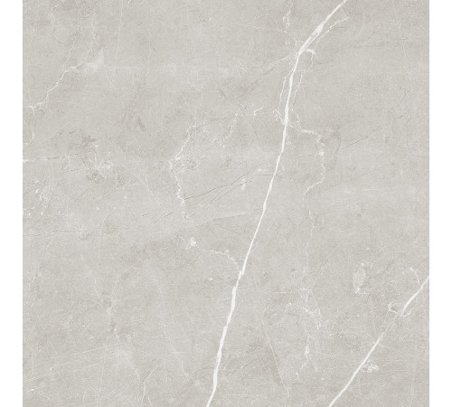 Scandy Керамогранит светло-серый обрезной SG645120R 59,5х59,5