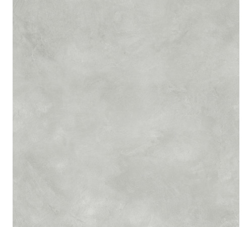 Evolution Smoke Керамогранит светло-серый SG603720R 59,5х59,5 Матовый Карвинг
