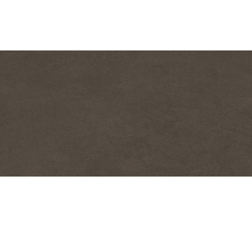 Sandstone Brown PRO Керамогранит коричневый 60х120 матовый R10GR STR CB