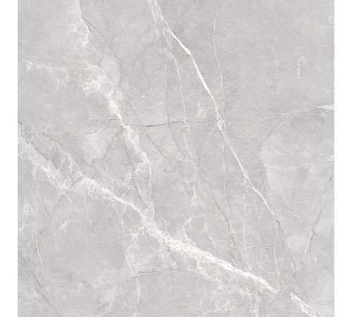 Marble Grey PRO Керамогранит серый 60х60 матовый R12Soft