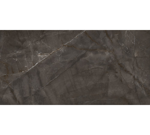 Timeless Marrone Керамогранит коричневый LP6012G0051R 59,5х119,1 матовый карвинг