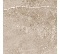 Obsidian Taupe Керамогранит 60х60 матовый