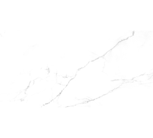 Discovery Blanco Керамогранит белый SG50002420R 59,5х119,1 матовый