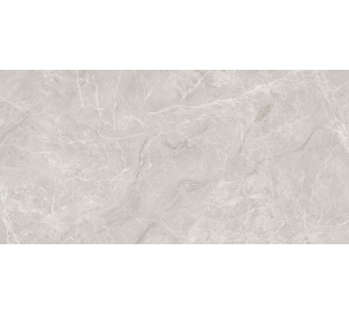 Mramor Princess Grey Керамогранит серый 60х120 Полированный