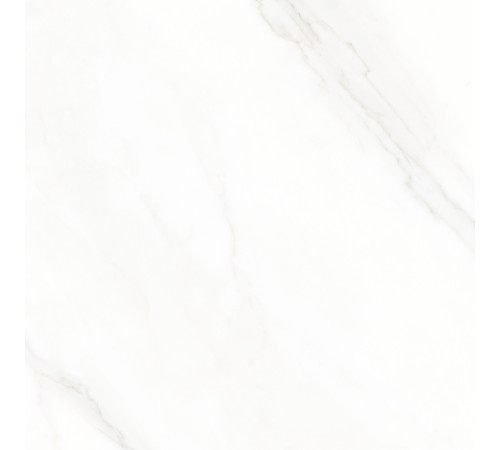 Calacatta Michael Керамогранит белый 60х60 матовый