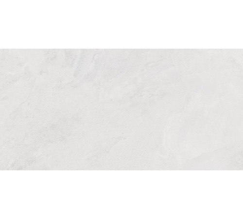 Porter Silver PRO Керамогранит светло-серый LP6012G0171R 59,5х119,1 матовый карвинг R10 STR