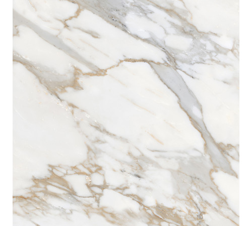 Calacatta Roma Керамогранит 60х60 Полированный