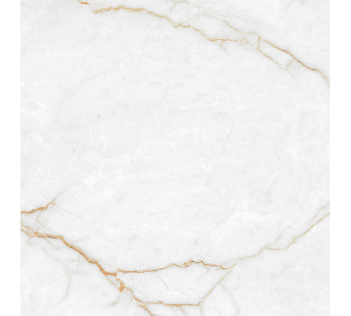 Torso Gold Керамогранит 60х60 Полированный