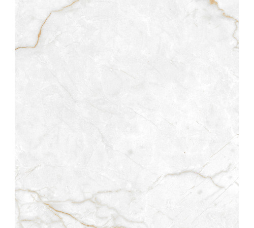 Torso Gold Керамогранит 60х60 Полированный