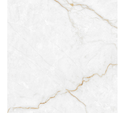 Torso Gold Керамогранит 60х60 Полированный