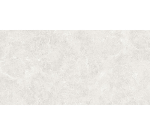 Orlando Blanco Керамогранит светло-серый 60x120 Полированный