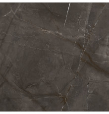 Timeless Marrone Керамогранит коричневый LP6060G0061R 59,5х59,5 матовый карвинг