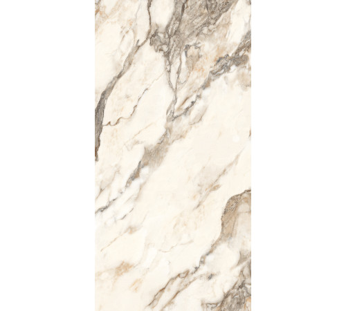 Calacatta Bronze Керамогранит белый полированный 60х120