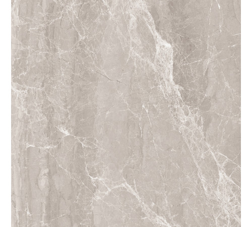 Nostalgic Silver Керамогранит 60х60 Полированный