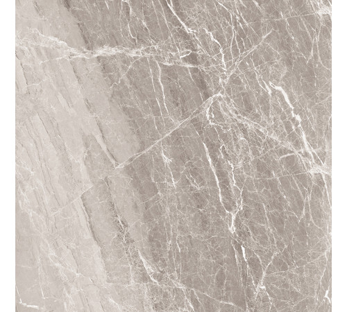 Nostalgic Silver Керамогранит 60х60 Полированный