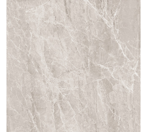 Nostalgic Silver Керамогранит 60х60 Полированный