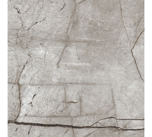 Obsidian Moss Gray Керамогранит 60х60 Полированный