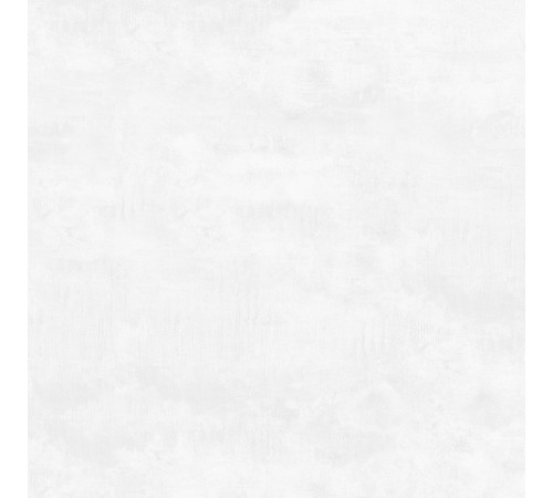 Flagman PRO Керамогранит светло-серый K952736R0001LPET 59,7х59,7 R10