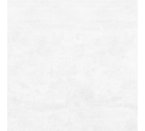 Flagman PRO Керамогранит светло-серый K952736R0001LPET 59,7х59,7 R10