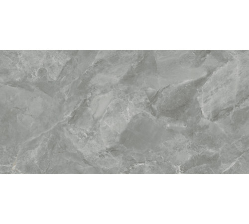 Regnum Grigio Керамогранит серый CR6012G0411R 59,5х119,1 матовый