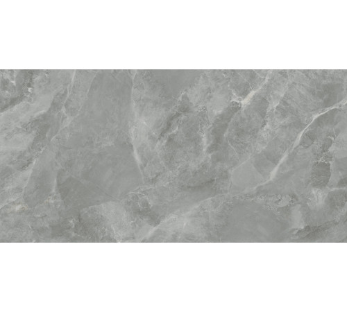 Regnum Grigio Керамогранит серый CR6012G0411R 59,5х119,1 матовый