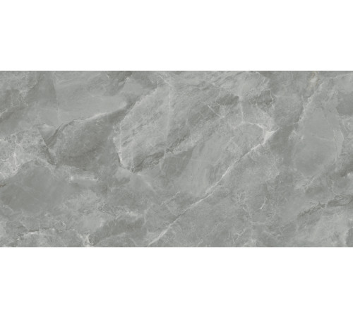 Regnum Grigio Керамогранит серый CR6012G0411R 59,5х119,1 матовый