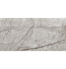 Obsidian Moss Gray Керамогранит 60х120 Полированный