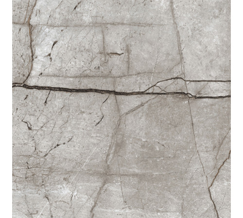 Obsidian Moss Gray Керамогранит 60х60 матовый